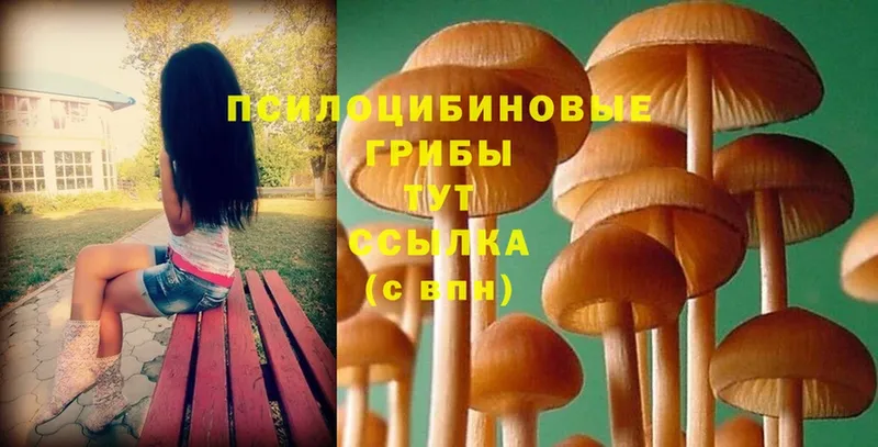 Галлюциногенные грибы Magic Shrooms  Троицк 